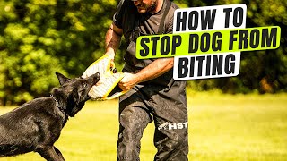 How to Stop Dog from Biting