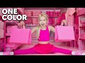 BUYING EVERYTHING IN ONE COLOR For My Daughter GONE WRONG