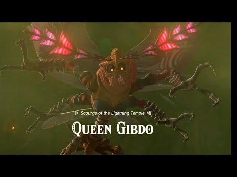 The Legend of Zelda: Tears of the Kingdom - Queen Gibdo Boss Fight