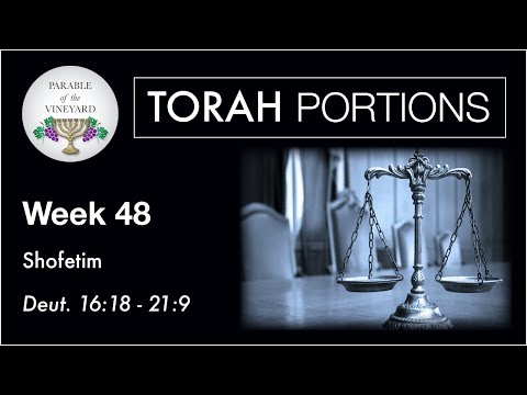 Torah Portions - Week 48 - Shofetim - Deuteronomy 16:18 - 21:9 (2020-2021)