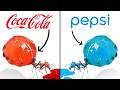 Ants Vs Colorful Drinks