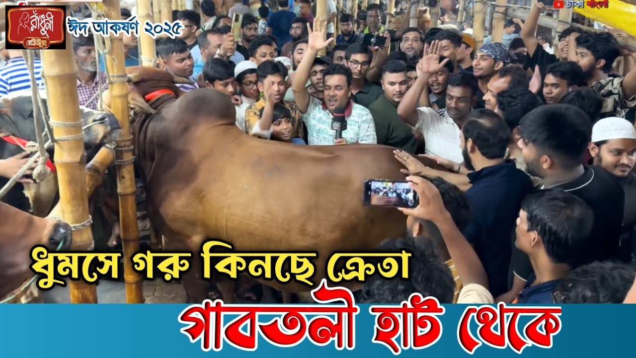 কেমন দামে গরু কিনছে ক্রেতা! বেপারীরা কত দাম চাচ্ছে? গাবতলী হাট! qurbani cow price 2025