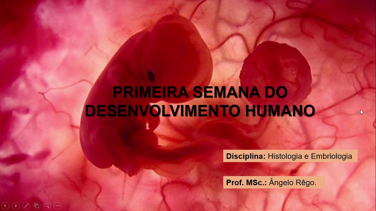 Aula Embriologia Primeira Semana de Desenvolvimento Embrionário