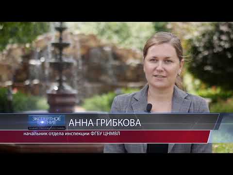 «Экспертное мнение». Выпуск 7. 10.07.2019