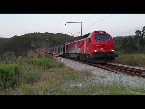 Comboio Especial n.º 98206 - Trezoi