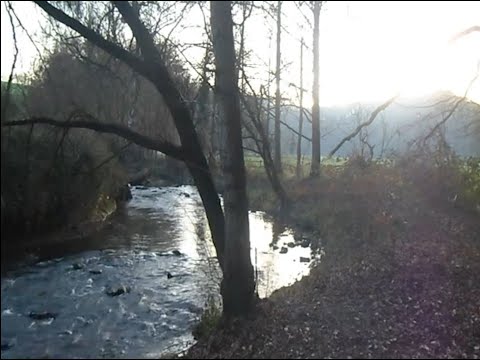 [FREE] sewerperson x skele x midwest emo guitar type beat "in the dirt" [secre + jolst]