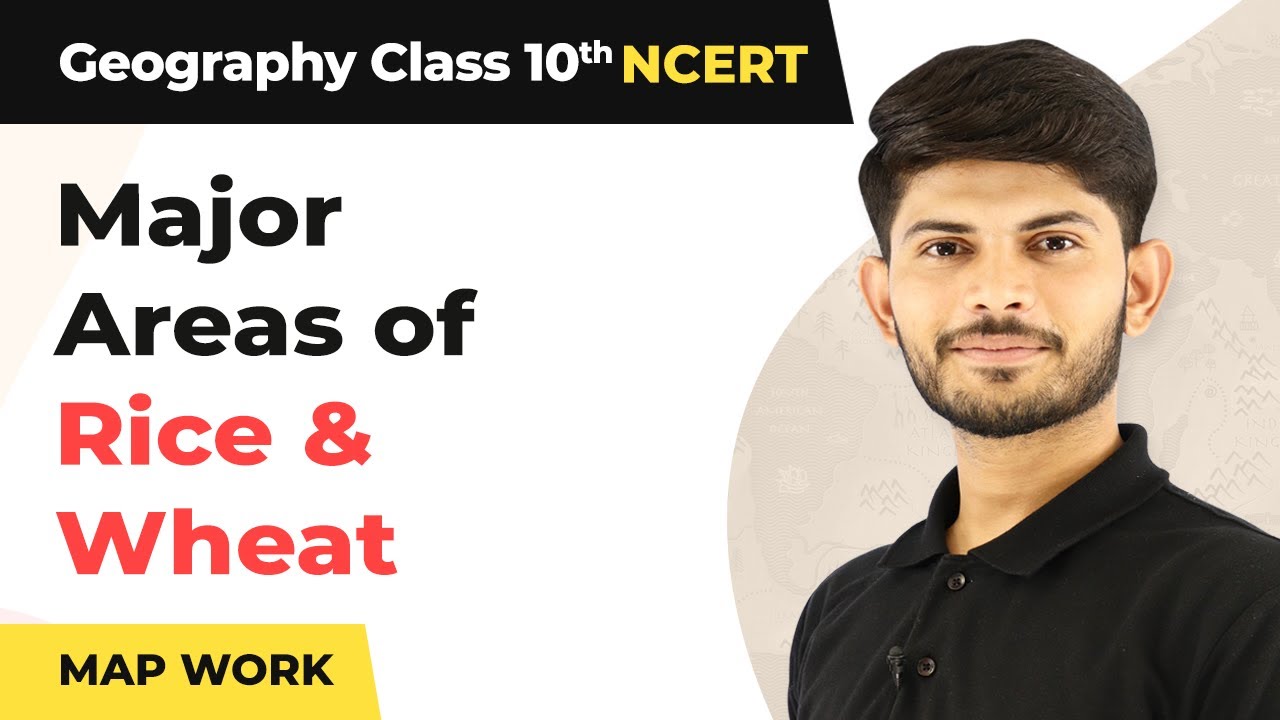 Map Work: Major Areas of Rice & Wheat - Agriculture | Class 10 Geography (2023-24)