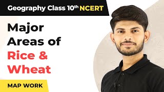 Map Work: Major Areas of Rice & Wheat - Agriculture | Class 10 Geography (2023-24)