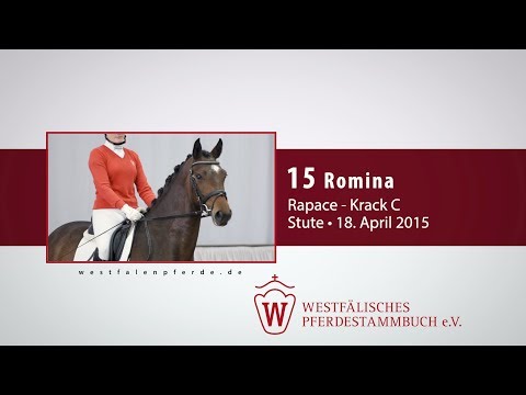 15 Romina Stute v. Rapace - Krack C
