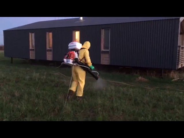 заставка видео из youtube