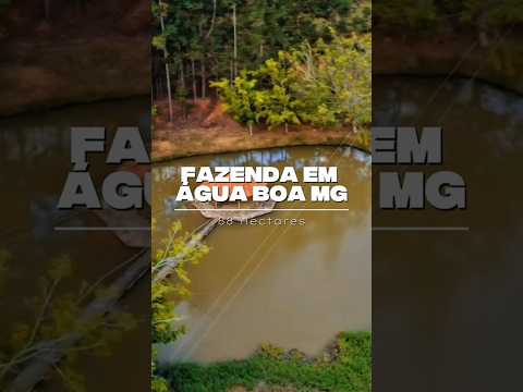 EXCELENTE PROPRIEDADE 88 HECTARES ÁGUA BOA-MG R$ 1.900.000,00 #gado #pecuarista #fazenda #agro #luxo
