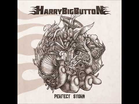 Perfect Storm - 해리빅버튼 (Harry Big Button)