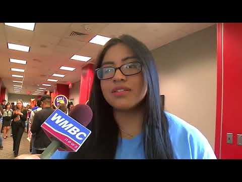 Undocumented Drivers Licenses