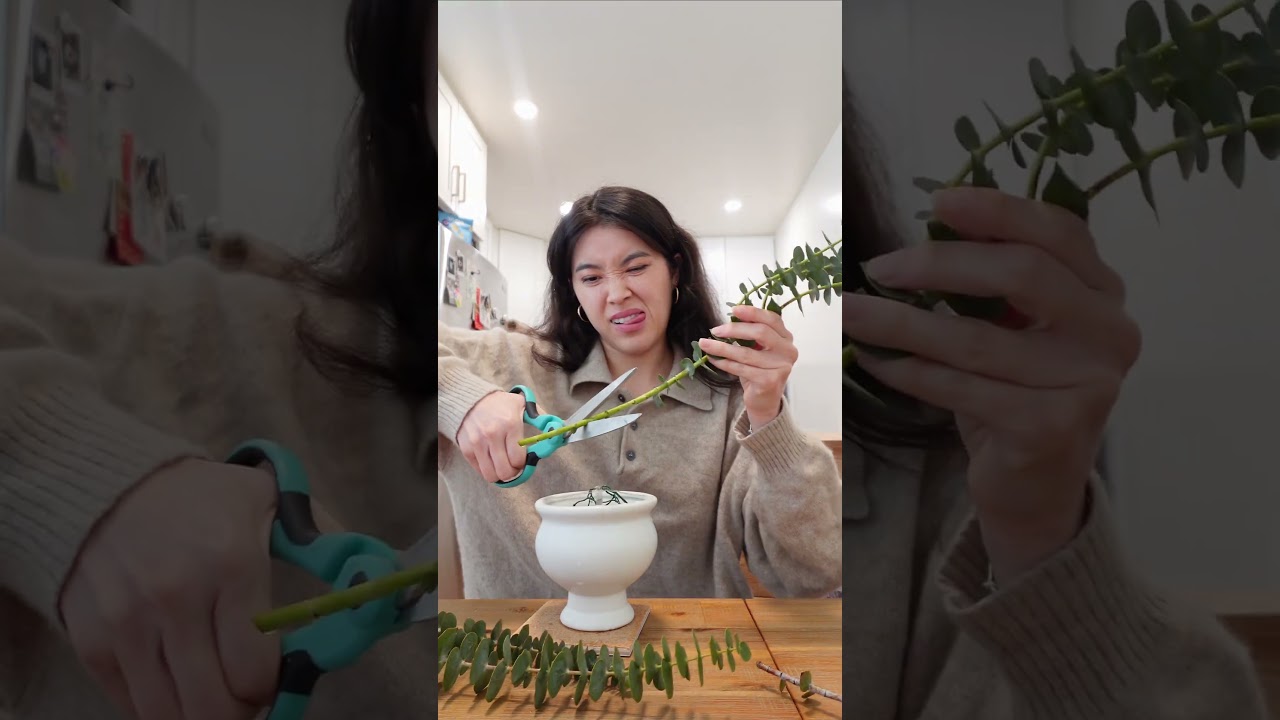 👀Building my craft roster