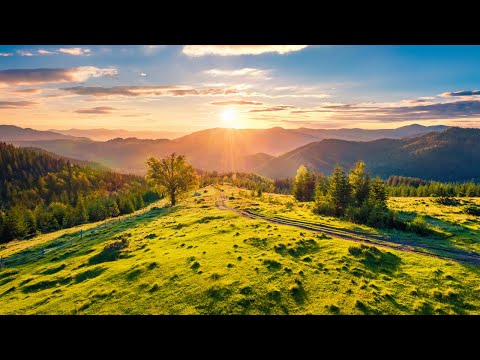 DJ713 Cabana Dichiu - Cabana Piatra Arsa | 4K