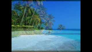 Samba de una Nota So Instrumental