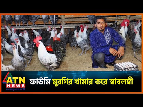 ফাউমি মুরগির খামার করে স্বাবলম্বী আকরাম | Narail Faumi Chicken Farm | ATN News