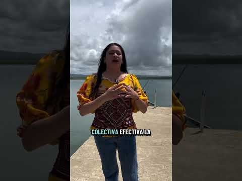 Anyeritogue!!!! Desde la Subcomisión de Asuntos Indígenas, Margareth Pimentel #panamá #gunayala