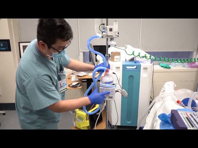 OXYGEN AND NEBULIZATION THERAPY - High Flow Nasal Cannula Trader ...