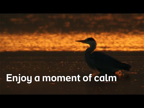 A moment of calm, from the island of Ireland | part 2