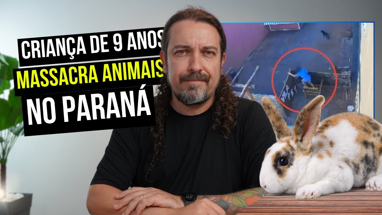 Menino de 9 anos invade "fazendinha" e massacra animais no Paraná