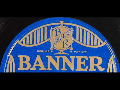 Irwin Abrams' Dance Orchestra - I Never Knew What the Moonlight Could Do (1926)