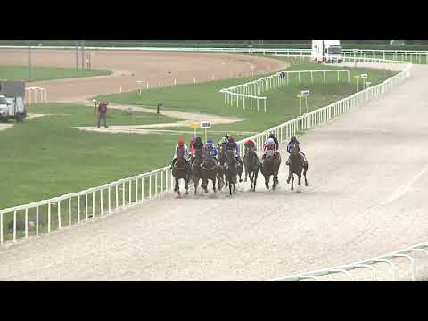 2020.06.21. 03. futam - MY LUCK HENDIKEP (IV.o.) (szintetikus pálya)