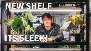 Wiring My Spider Farmer SF600 Grow Shelf Like A PC Build