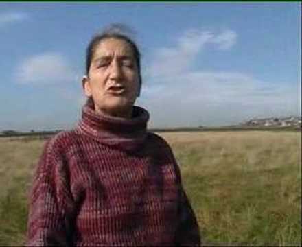 SUNNISIDE - A People's History  - Pt. 4 of 4 (2000)
