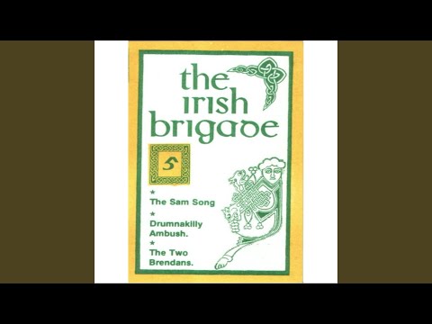 Hills Of Dunloy - The Irish Brigade