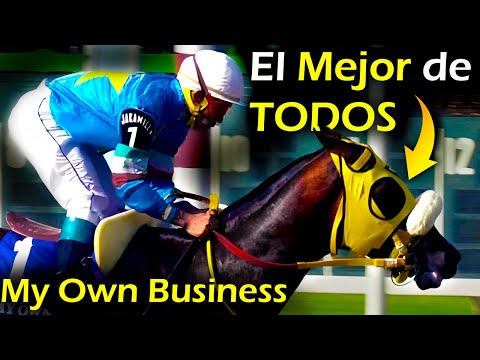 5 More Awesome Wins in My Own Business Where No Other Horse Has Achieved in the Corner