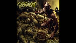Guttural Engorgement - The Slow Decay of Infested Flesh (Full Album)