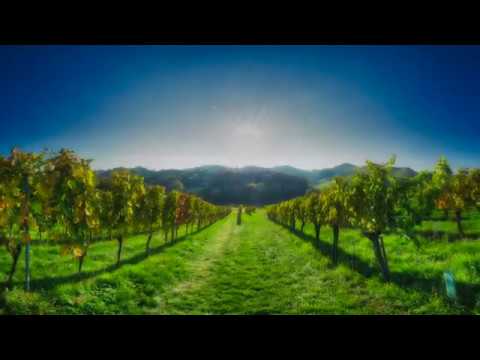 Südsteirische Weinstrasse