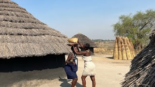 African Village life / Cooking Cassava Leaves For My Family