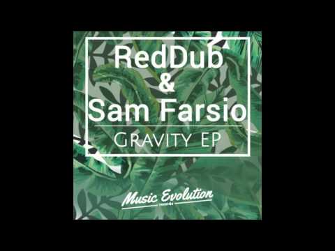 RedDub & Sam Farsio - Endurance (Original Mix)