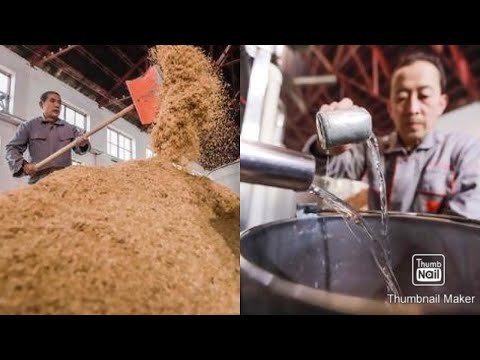 First time complete process | how chinese make white wine | wine making complete process | Rice wine