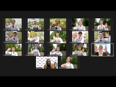 Madonas pilsētas kultūras nama un Madonas Valsts ģimnāzijas apvienotais 10.-12. klašu TDA “VIDZEME”