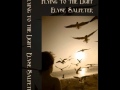 Flying To The Light Trailer by Elyse Salpeter