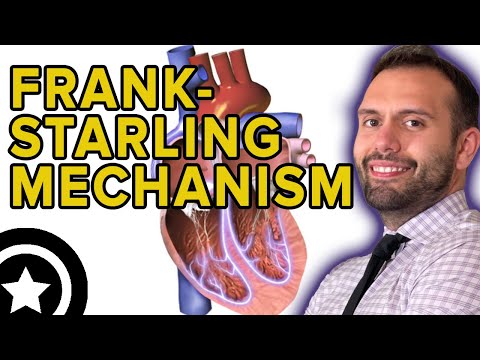 Frank-Starling Mechanism | HIGH-YIELD CARDIOLOGY | USMLE STEP 1