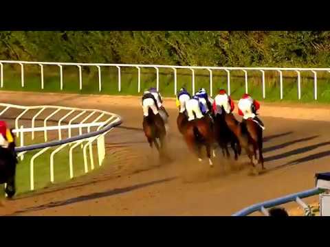 2017.08.14 Hurricanelöpning (SWE) - Gold Tyranny