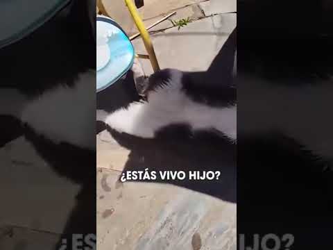 Calor extremo en Santiago del Estero