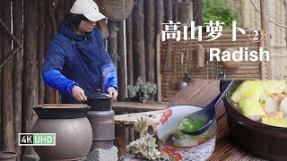 Stewed Radish in Casserole EP2丨虾仁蛋卷萝卜汤丨4K UHD丨小喜XiaoXi丨煲一锅有着“赛人参”美誉的高山萝卜，家里的狗子都快被馋哭了！