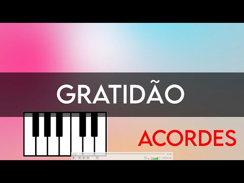 Gratidão - Rachel Novaes