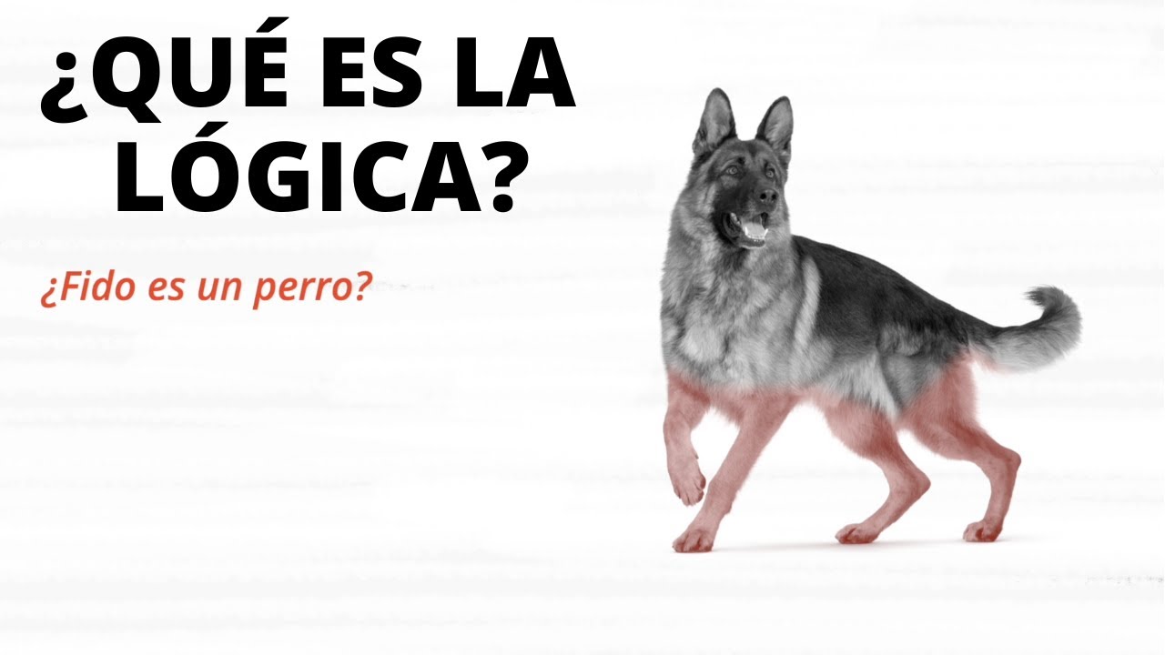 ¿Qué es la lógica?