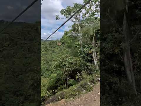 META STOP! ZIPLINING TOROVERDE SANJUAN PUERTO RICO #funny #toroverde #sanjuan #puertorico #ziplining
