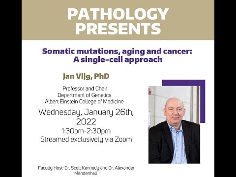 Pathology Presents: Dr. Jan Vijg, PhD | Somatic mutations, aging and cancer: A single-cell approach