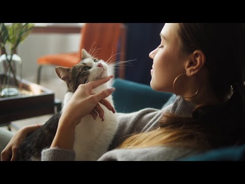 Philips Pet Series Smart Feeder with Camera PAW5320_02