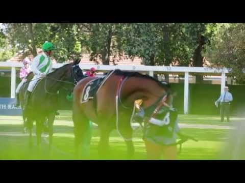 Inaugural 2013 Lanzerac Ready to Run Stakes Highlights