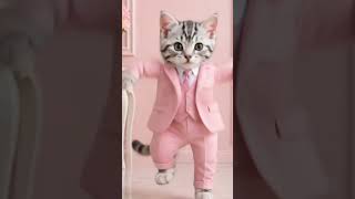 pink suit cat #cat #cute #kittens #funny