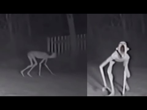 SCARIEST VIDEOS on the Internet That Documenting TRUE TERROR!